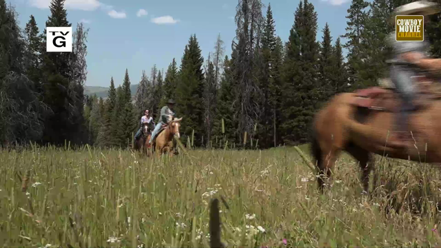 Today?s Wild West Online
